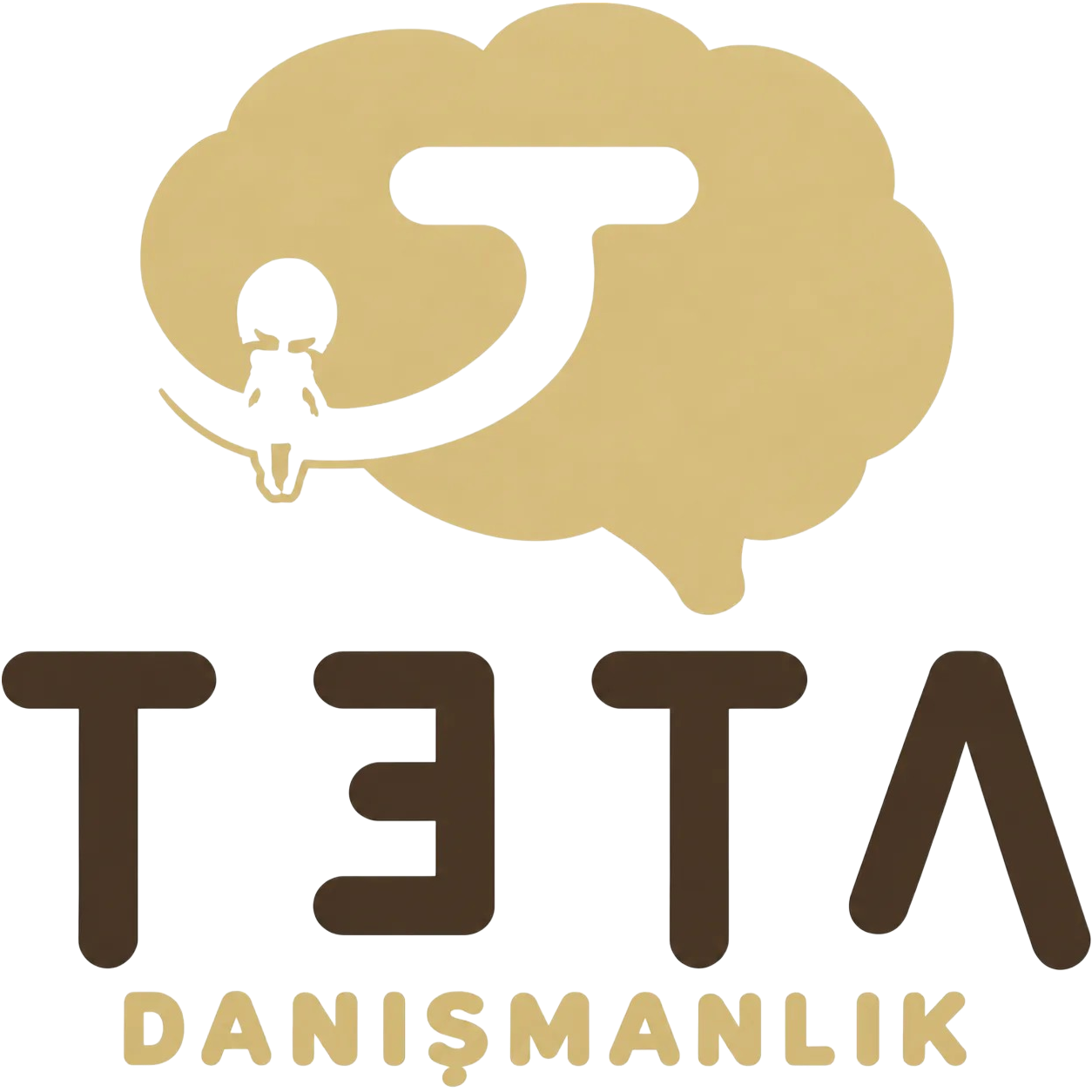 Teta Danışmanlık | Psikolog, Ergoterapi, Fizyoterapist